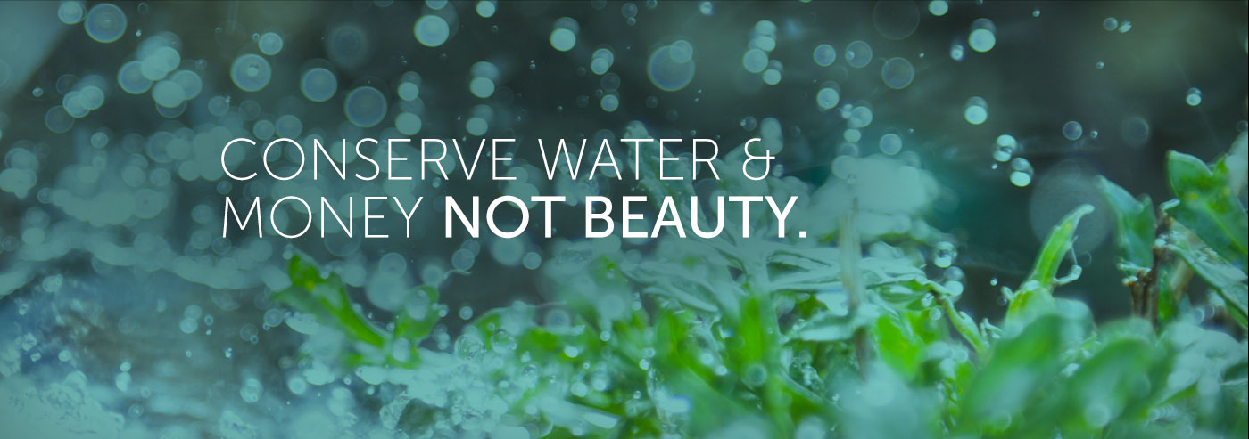 Conserve Water & Money Not Beauty